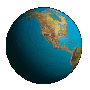 World Wide Cavy Ring